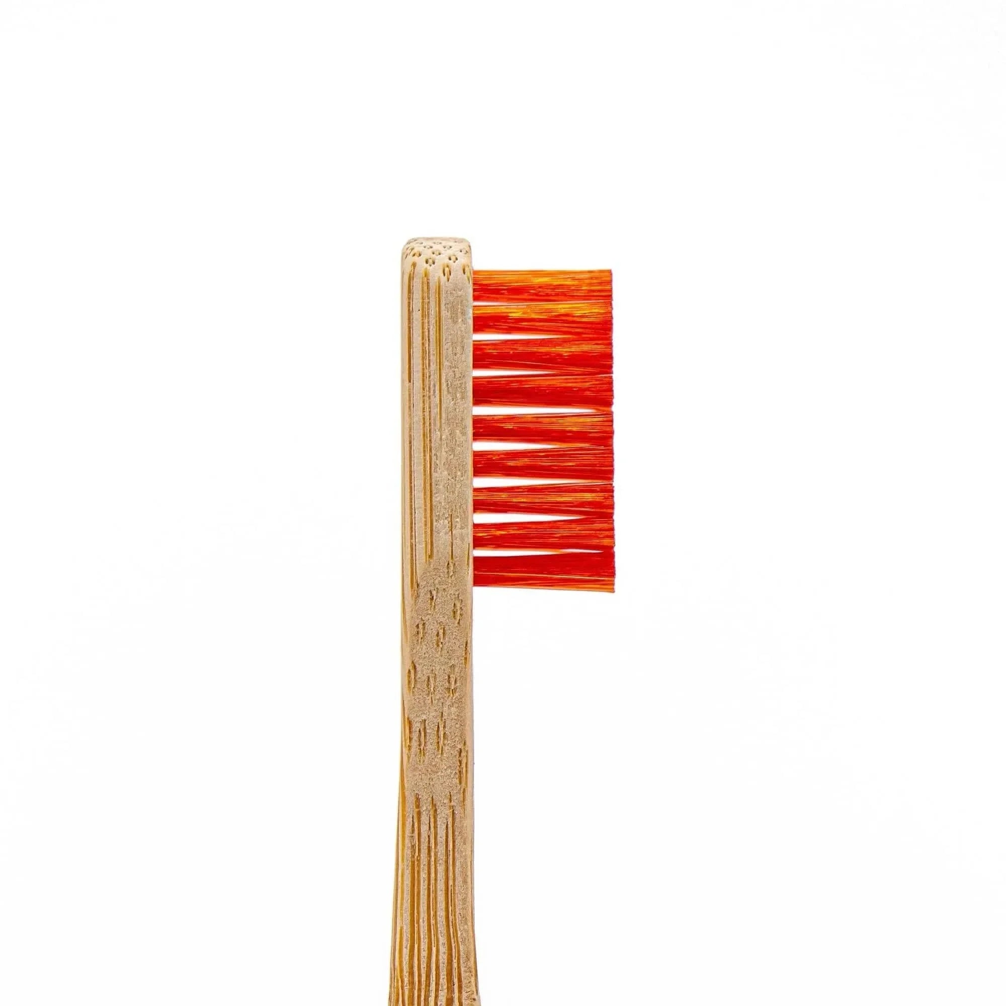 Angelus Detail Cleaning Brush Set