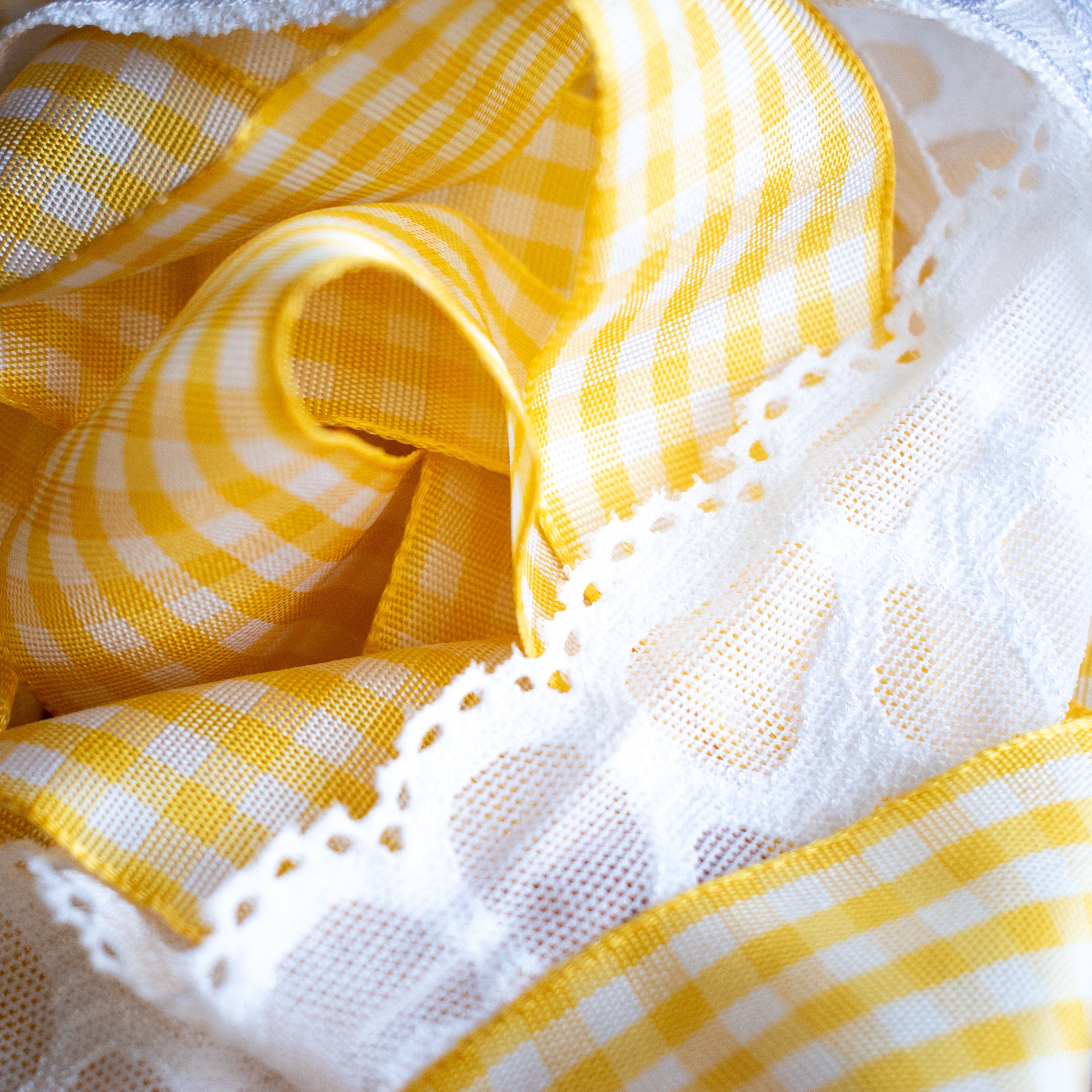 10 meters of gingham ribbon